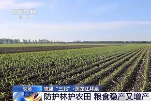 约基奇：我与穆雷始终有化学反应 培养良好习惯并保持稳定最重要